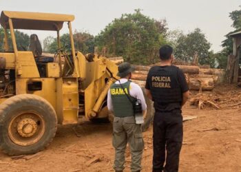 PF deflagra operação contra transporte irregular de madeira em Rondônia