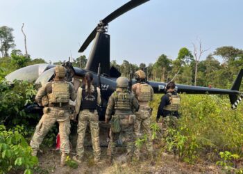 PF apreende 238 kg de drogas em helicóptero no Amazonas