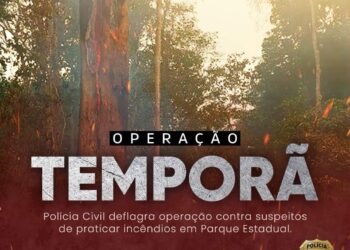 COMBATE AOS INCÊNDIOS: PCRO DEFLAGRA OPERAÇÃO CONTRA SUSPEITOS DE INCÊNDIOS EM PARQUE ESTADUAL
