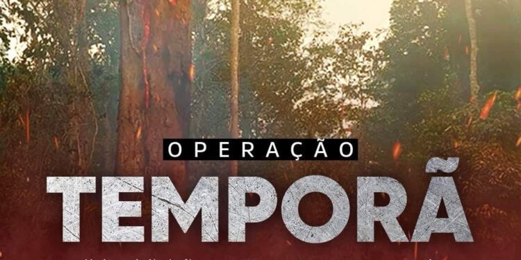 COMBATE AOS INCÊNDIOS: PCRO DEFLAGRA OPERAÇÃO CONTRA SUSPEITOS DE INCÊNDIOS EM PARQUE ESTADUAL