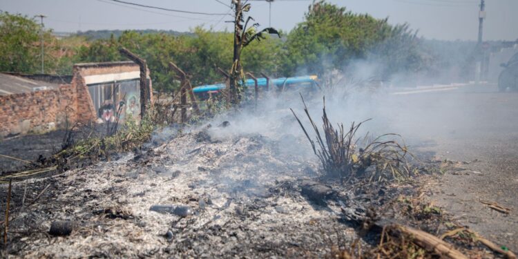 Prefeitura reforça canais de atendimento para denúncias de queimadas