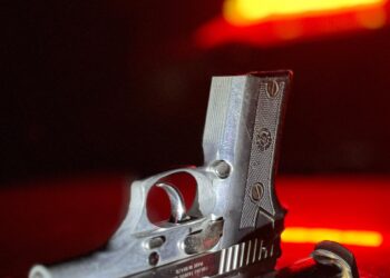 HOMEM É PRESO POR PORTE ILEGAL DE ARMA DE FOGO DURANTE OPERAÇÃO PROTETOR DAS FRONTEIRAS EM RONDÔNIA