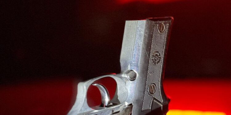 HOMEM É PRESO POR PORTE ILEGAL DE ARMA DE FOGO DURANTE OPERAÇÃO PROTETOR DAS FRONTEIRAS EM RONDÔNIA