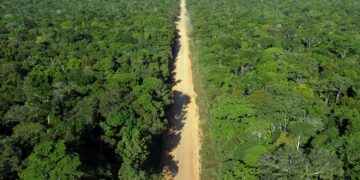 Observatório BR-319 se pronuncia sobre  uso de dados em recurso  que visa suspender anulação da licença prévia  da  rodovia