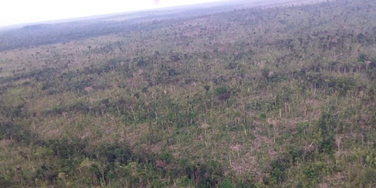 MPRO obtém condenação de invasor da Resex Jaci-Paraná ao pagamento de 21 milhões por danos ambientais a título de reparação