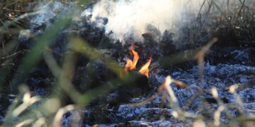 Prefeitura emite alerta com recomendações para proteger a saúde da população da fumaça das queimadas