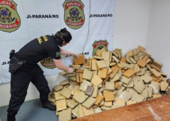PF incinera cerca de 860 kg de drogas em RO