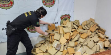 PF incinera cerca de 860 kg de drogas em RO