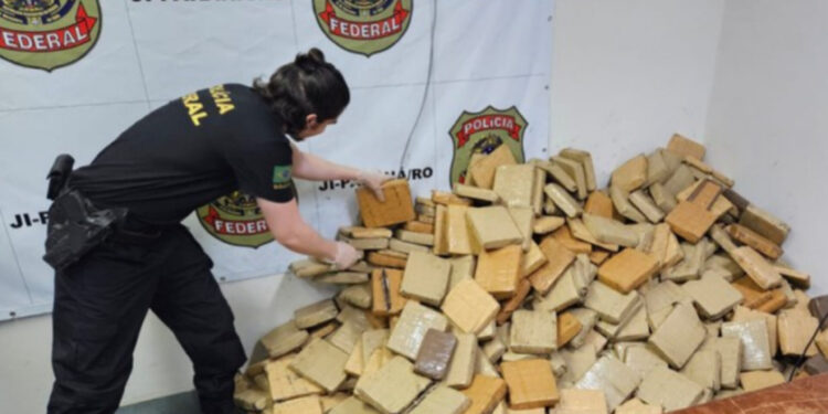 PF incinera cerca de 860 kg de drogas em RO