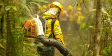 Ações do governo de RO reduziram desmatamento no Parque de Guajará-Mirim, até maio deste ano