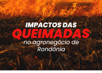 Sistema FAPERON e Sindicatos de Produtores Rurais de Rondônia destacam os impactos e prejuízos devastadores das queimadas na produção agropecuária do Estado