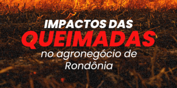 Sistema FAPERON e Sindicatos de Produtores Rurais de Rondônia destacam os impactos e prejuízos devastadores das queimadas na produção agropecuária do Estado