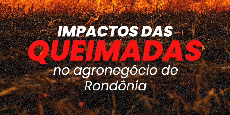 Sistema FAPERON e Sindicatos de Produtores Rurais de Rondônia destacam os impactos e prejuízos devastadores das queimadas na produção agropecuária do Estado
