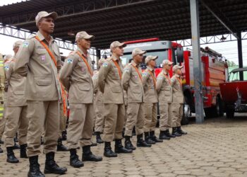 Cláudia de Jesus propõe criação do Dia Estadual do Bombeiro Civil