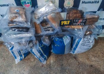 Carga de drogas é encontrada em veículo em chamas na BR-319 em Humaitá