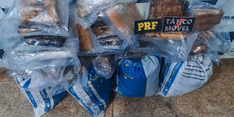 Carga de drogas é encontrada em veículo em chamas na BR-319 em Humaitá