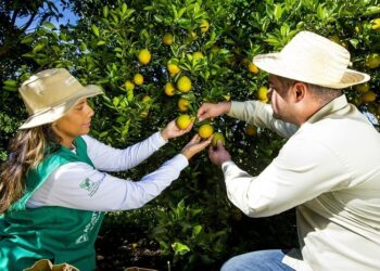 Curso de Fruticultura será incluído na grade do Idep após indicação da Dra. Taíssa