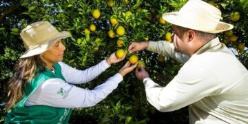 Curso de Fruticultura será incluído na grade do Idep após indicação da Dra. Taíssa