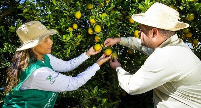 Curso de Fruticultura será incluído na grade do Idep após indicação da Dra. Taíssa