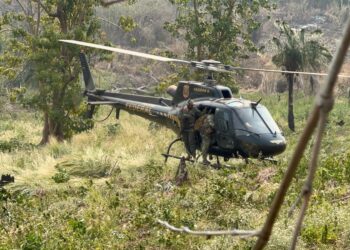 PF e SENAD encerram a 46ª fase da Operação Nova Aliança