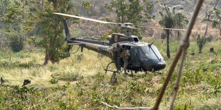 PF e SENAD encerram a 46ª fase da Operação Nova Aliança
