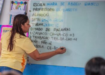 Cláudia de Jesus requer informações sobre carreiras de cuidadores e professores especializados
