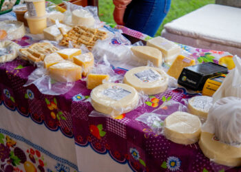 Confira a programação das feiras livres na capital e distritos de Porto Velho