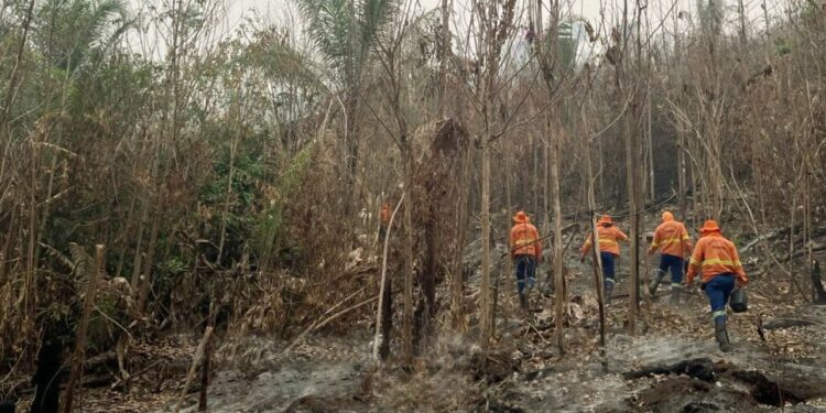Após solicitação de Cláudia de Jesus, governo vai contratar bombeiro civil para combater incêndios