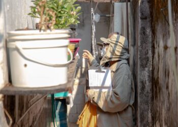 Prefeitura de Porto Velho reforça alerta sobre arboviroses e intensifica vigilância no período chuvoso