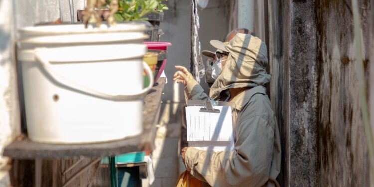 Prefeitura de Porto Velho reforça alerta sobre arboviroses e intensifica vigilância no período chuvoso