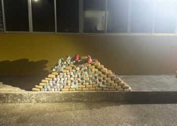 Em Porto Velho/RO, PRF realiza apreensão de 117 kg de entorpecentes