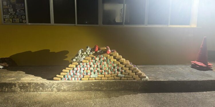 Em Porto Velho/RO, PRF realiza apreensão de 117 kg de entorpecentes