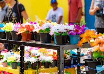 Semusb abre edital que regulamenta o credenciamento e licenciamento de ambulantes durante o Feriado de Finados