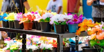 Semusb abre edital que regulamenta o credenciamento e licenciamento de ambulantes durante o Feriado de Finados