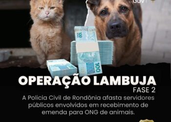 GABINETE DE VEREADORA: POLÍCIA CIVIL DEFLAGRA 2ª FASE DA OPERAÇÃO “LAMBUJA” EM INVESTIGAÇÃO SOBRE DESVIO DE VERBAS PÚBLICAS