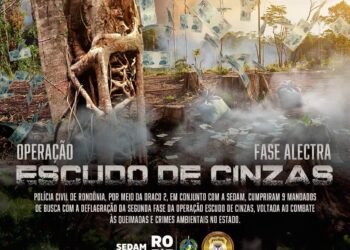 POLÍCIA CIVIL DEFLAGRA SEGUNDA FASE DA OPERAÇÃO ESCUDO DE CINZAS CONTRA CRIMES AMBIENTAIS.