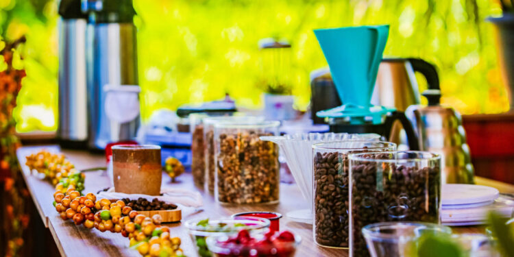 Governo de RO fomenta cadeia produtiva com Feira Robustas Amazônicos, de quinta (24) a sábado (26), em Cacoal