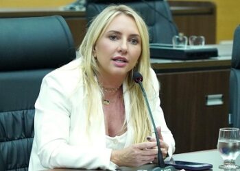 Ieda Chaves apresenta requerimentos para investigar a emissão de carteiras de identidade