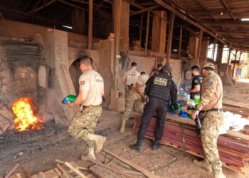 PF realiza incineração de drogas em Rondônia