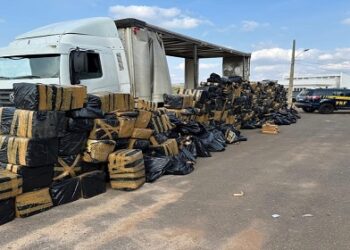Carga de 11 toneladas de Maconha é apreendida após análise de risco da Inteligência da PRF em MG