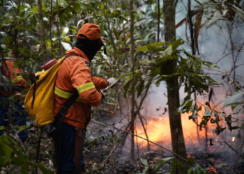 Sancionada pelo governo de RO lei que prevê medidas mais rigorosas contra incêndios florestais