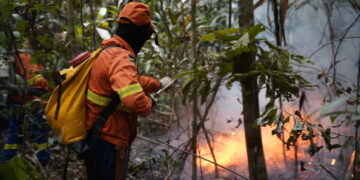 Sancionada pelo governo de RO lei que prevê medidas mais rigorosas contra incêndios florestais