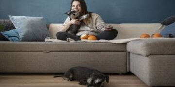 Xixi de pet: confira dicas para eliminar odores de sofás e tapetes