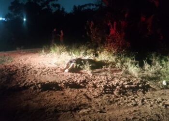 Homem é mortø a tirøs no Colônia Terra Nova