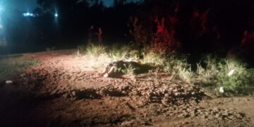 Homem é mortø a tirøs no Colônia Terra Nova