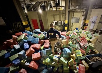 PRF apreende quase 20 toneladas de maconha e realiza a maior apreensão do sul do Brasil em 2024