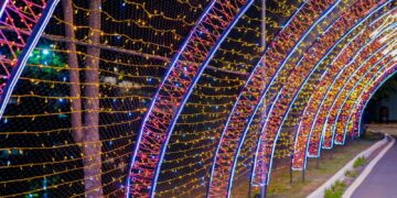Magia e encanto para toda a família a partir deste domingo (10)