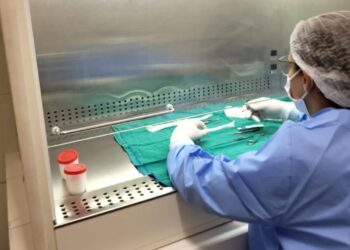 Banco de Olhos de Rondônia atinge marca histórica de 100 doadores de córnea em 2024