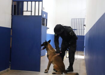 Operação nacional combate comunicação ilegal em unidades prisionais de Rondônia