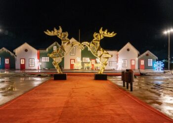 Prefeito Hildon Chaves apresenta decoração do Parque da Cidade para a imprensa e influenciadores digitais